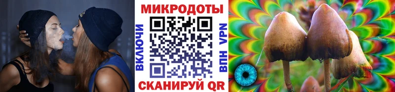 Купить закладки  Родники  Галлюциногенные грибы Psilocybine cubensis 